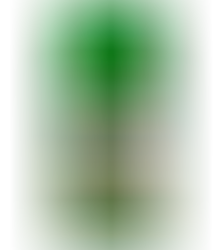 טטרה פונד אלגופין נגד אצות 500 מ