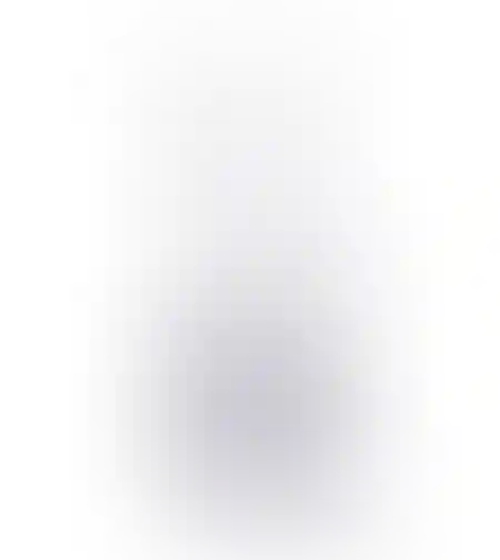 פורק חלבונים דלואה GW-12 (עד 1,300 ליטר) - DALUA GW-12 Protein Skimmer