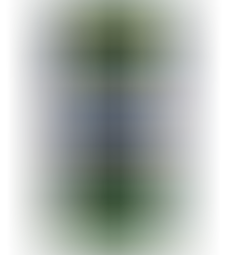 טטרה פרו אלגה ספירולינה 500 מ