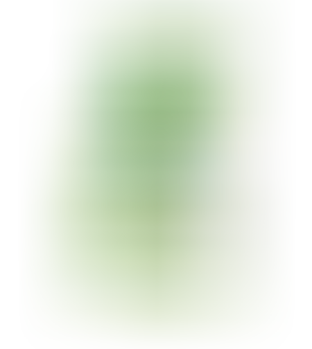 דשן לצמחים דנרלי וי30 קומפלט 50 מ