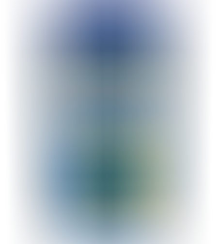 מזון מארין פלטס סמול גרגרים אומגה וואן 231 גרם Omega One Marine Small Pellets