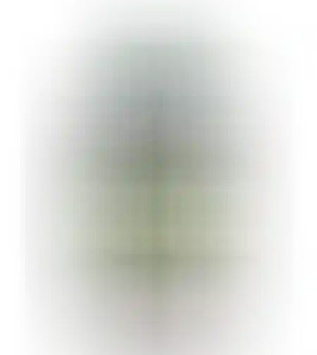 תוסף ניטרט איזי לייף ניטרו 500 מ