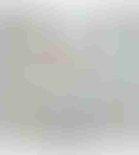 פורק חלבונים באבל מגוס קורב A9 (900-1,500 ליטר) - Bubble Magus A9