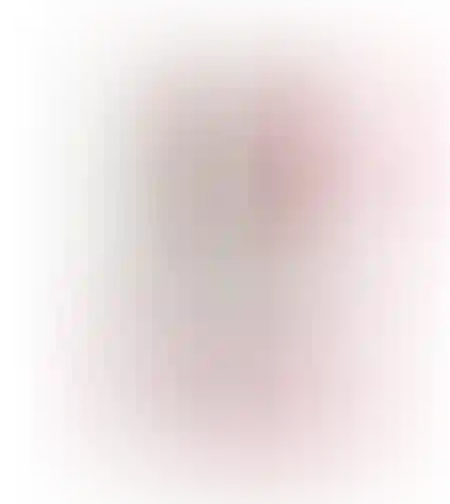 עגלולה כסא אוכל לאנצ'י