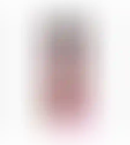 ברבי ברונטית אלגנטית  BARBI