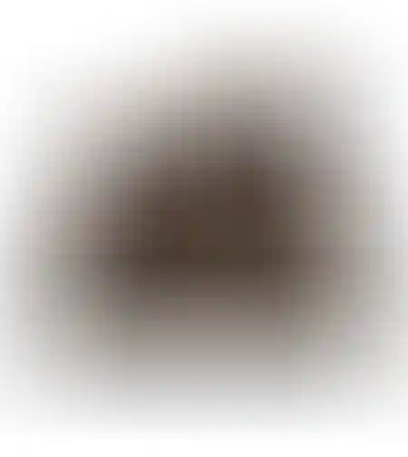 طاولة زهر