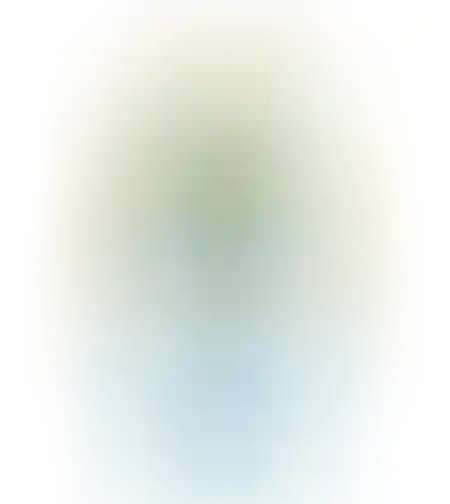 בובת דרדסית