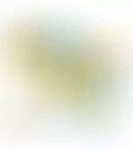 משאית ערכת גלידה