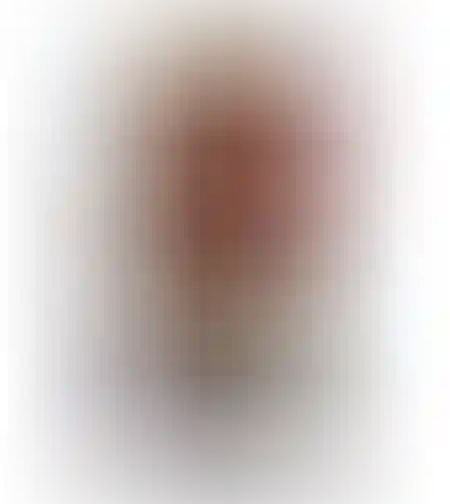 الرجل الحديدي