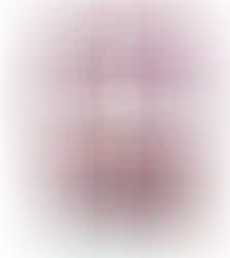 LOL תיק איפור