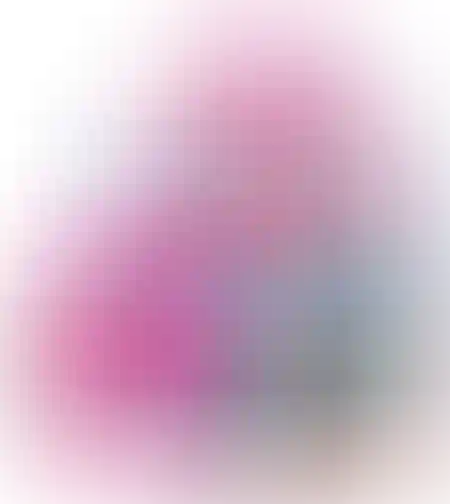 תיק אביזרי שיער ברבי