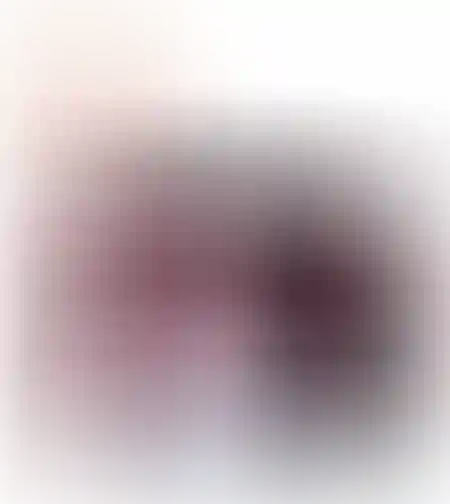 ספר בד שחור לבן -חיות בר לפעוטות