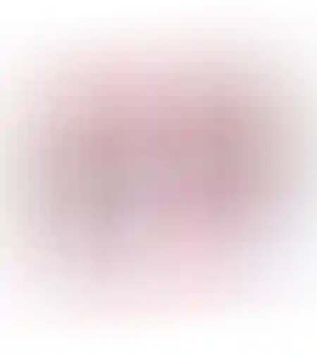טרמפולינה ורודה
