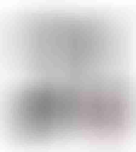 طائرة على ريموت PPRO