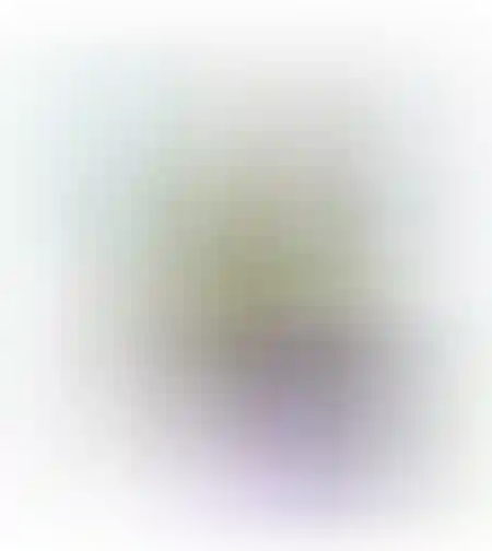 הרכבת מגנטים 226 חלקים