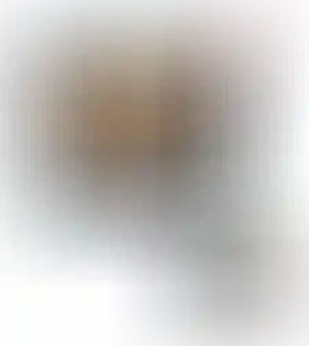 مجموعة لوح التزلج والمنحدر