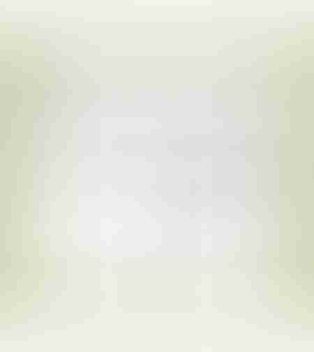 Brazil Cerrado MC Decaf 250g