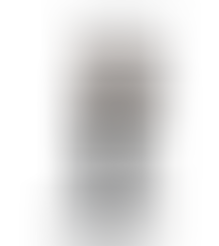 SP II
