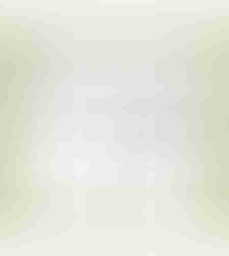 Brazil Cerrado MC Decaf 1 kg