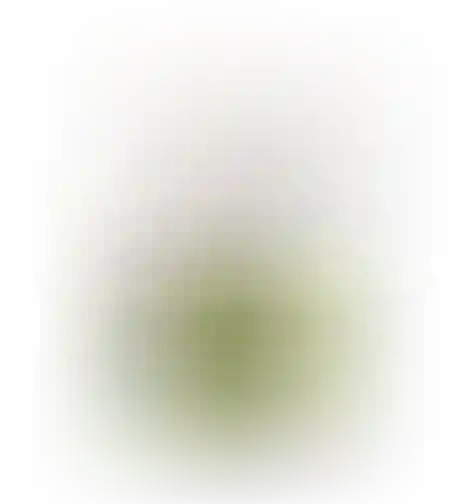 מלית תפוח עץ וקינמון 400 גרם