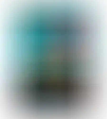 דים סאם גיוזה - עוף