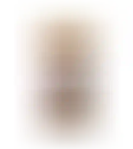 ריבת חלב חלבית 340 גרם