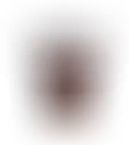 ממרח בטעם ריבת חלב פרווה 400 גרם