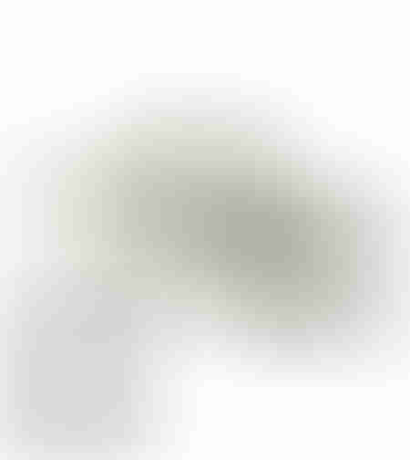 REEF Cushion Tradewind Stone Oilve ריף כפכפי גברים ירוק בהיר