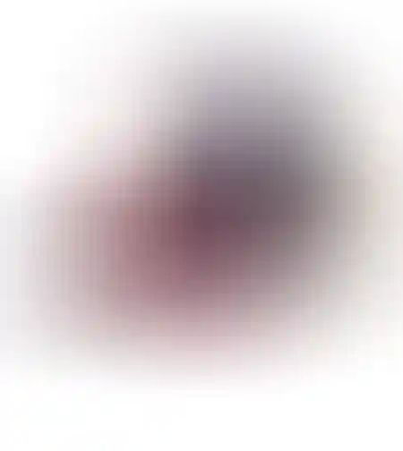 כובע חיות גורין ברוס Goorin Bros The Cock תרנגול נייבי