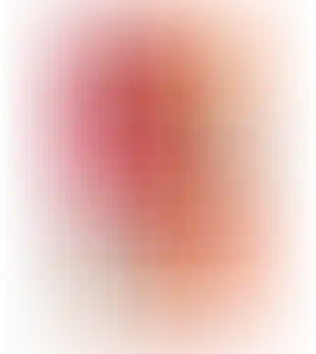 דקניקים שום וצ׳ילי פיקנטי 120 גרם טירת צבי