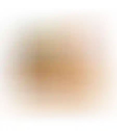 סיגרים תפוא 400 גרם חטיפי אלקיים