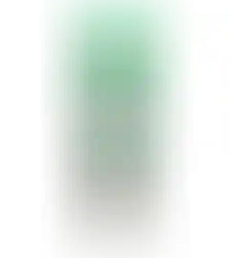 סנו נירוסטה
