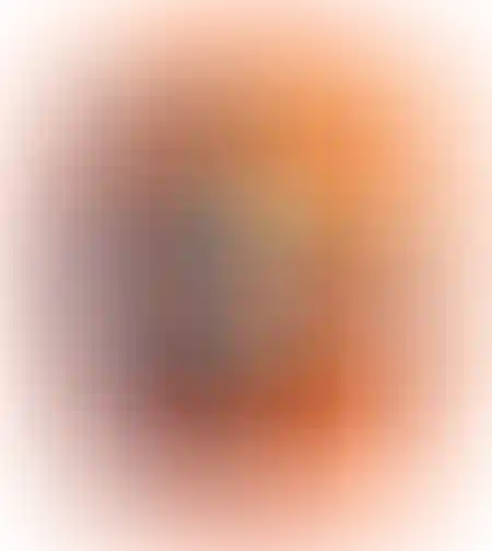 פסטרמה שום וצ׳ילי פיקנטי טירת צבי 400 גרם
