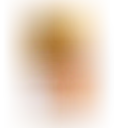 דקניקים פסטרמה בדבש 120 גרם טירת צבי