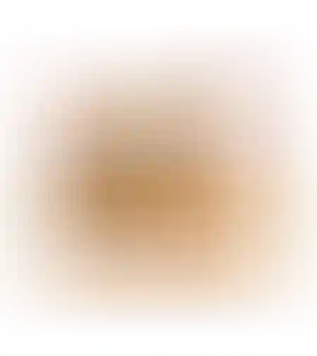 סיגרים בשר 400 גרם חטיפי אלקיים