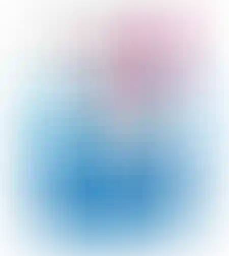 נייר טואלט לילי קלאסיק 40 גלילים