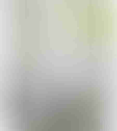 ברז מטבח לבן דגם Safir White