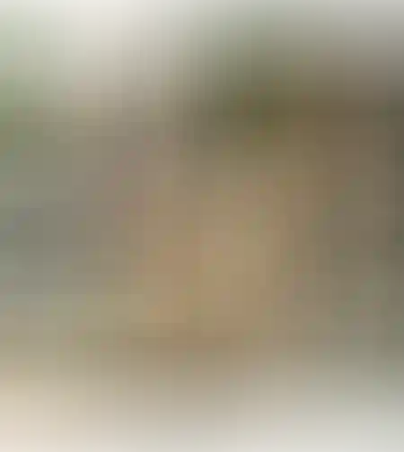 קוביות שעווה עם שמנים אתריים לריכוז