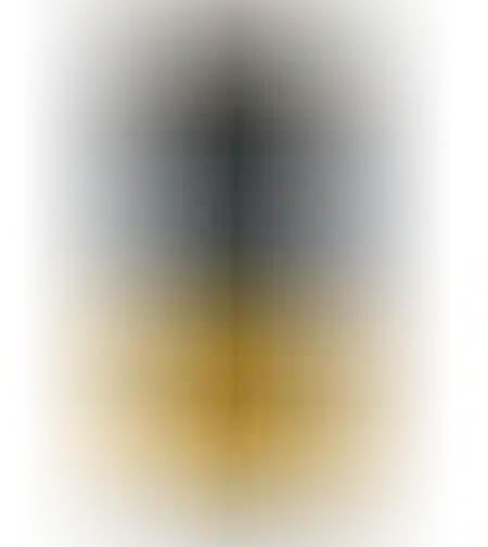 קפסולות אספרסו מור גולד Mor GOLD
