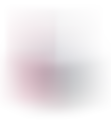 רובוט מטפס דגם BWT D200