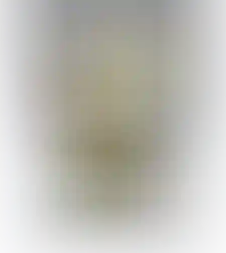 סיכות מתפצלות