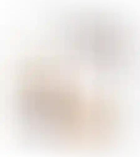 קורידור\המבוך