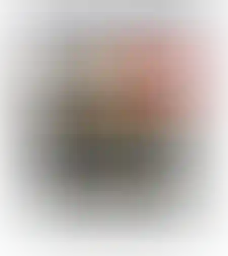 אקדח סיכות איכותי