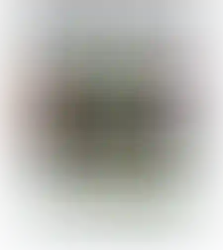 עטים צבעוניים 48 נבנרתיק
