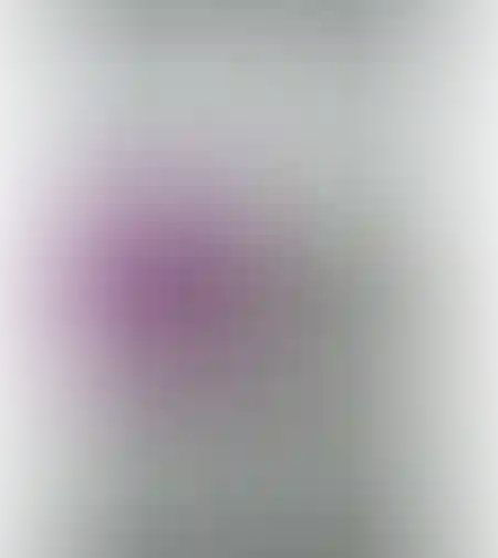 פנקס מעוצב קטן