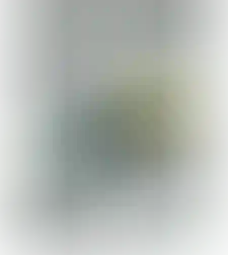 מארז 5 בריסטול גיליון שחור