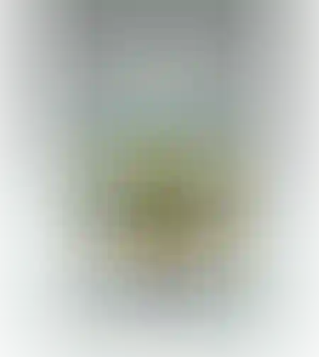 טוש ג'מבו אורטופדי 12 גוונים