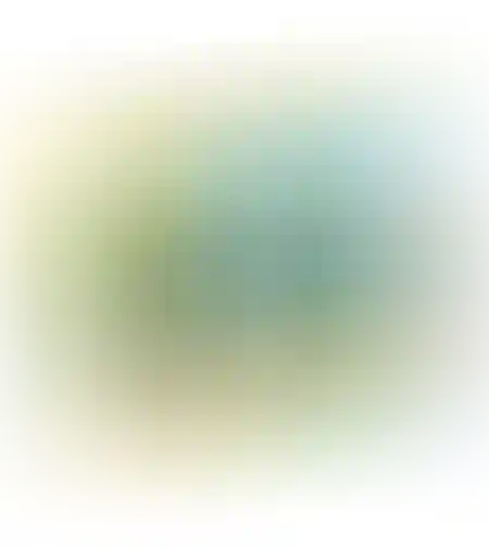 רכבת חיות לגיל הרך 1,2,32 (4)