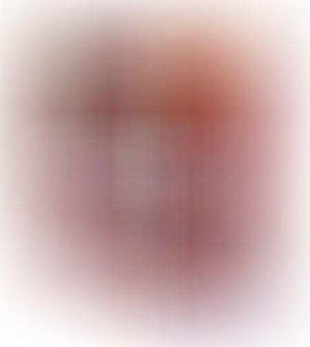 שיגעון 49