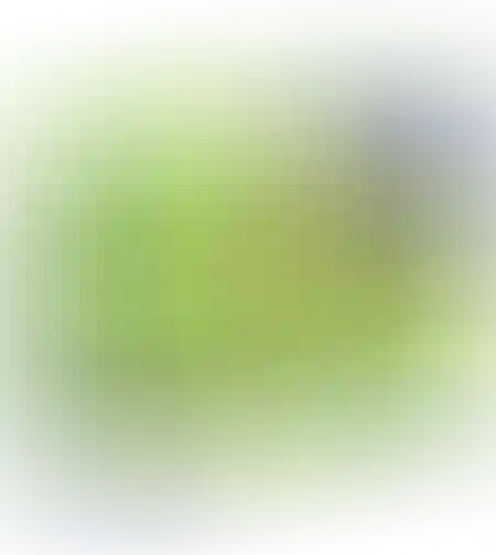 הייטקס סיכות מתפצלות מס.2 19 מ'מ